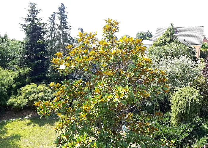 Lägenhet Relax - Entspannung Ohne Tv Bernau bei Berlin